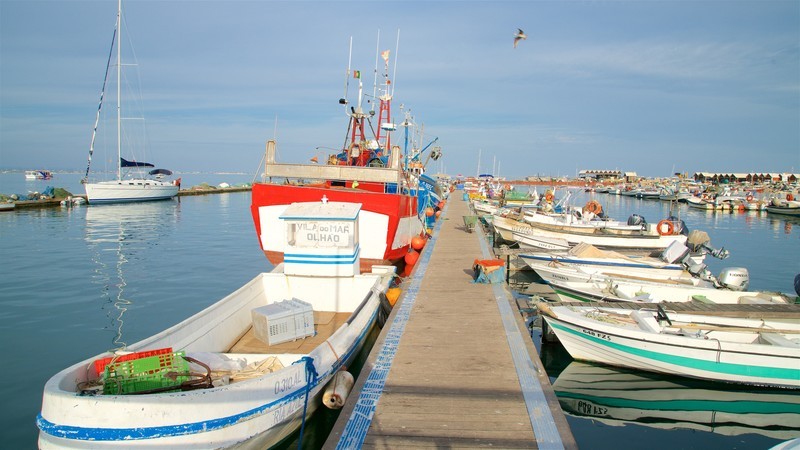 BEST OF THE EAST ALGARVE Full day (Private Minivan Tour)