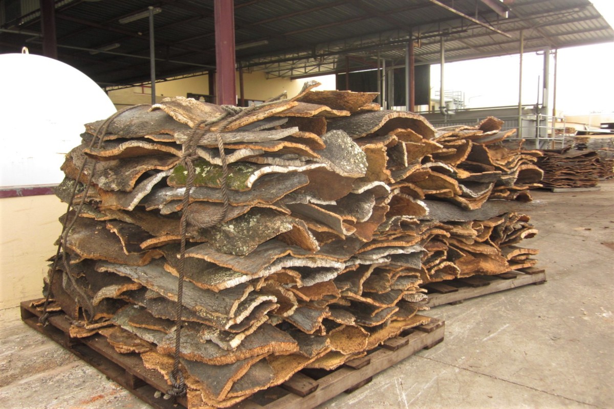 TRADITIONAL Algarve Tour (full day)