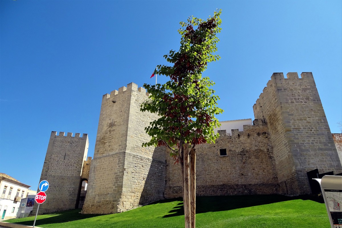 Seven Hanging Valleys Trail